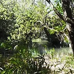 固本其安公园公寓 Lisboa