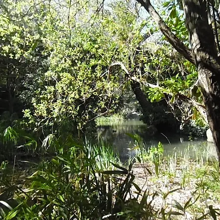 Gulbenkian Park Lisbon