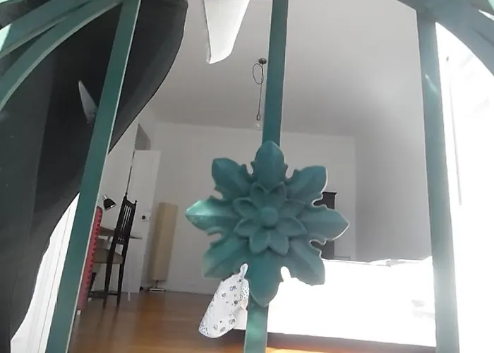 固本其安公园公寓 *