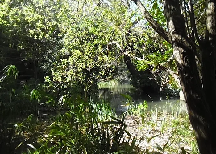 Gulbenkian Park Lissabon